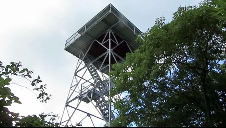 We arrive at the summit of Albert and the Fire Tower.