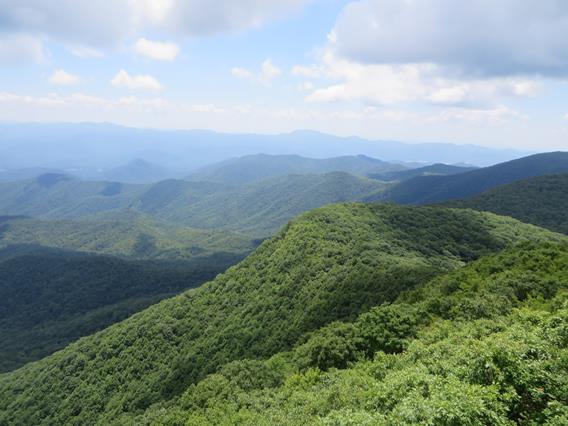 From the tower, you have 360 degrees of mountain views!