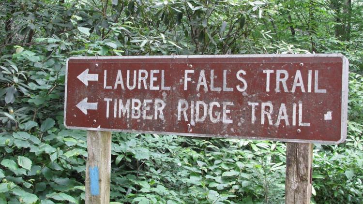 And for our 4th trail today, we hike to Laurel Falls.