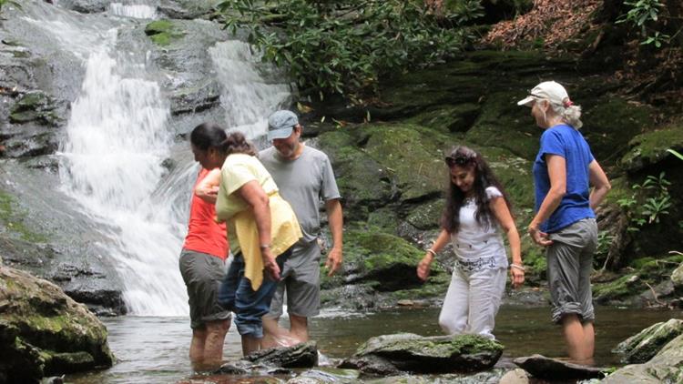 Cooling off at Laurel Falls!