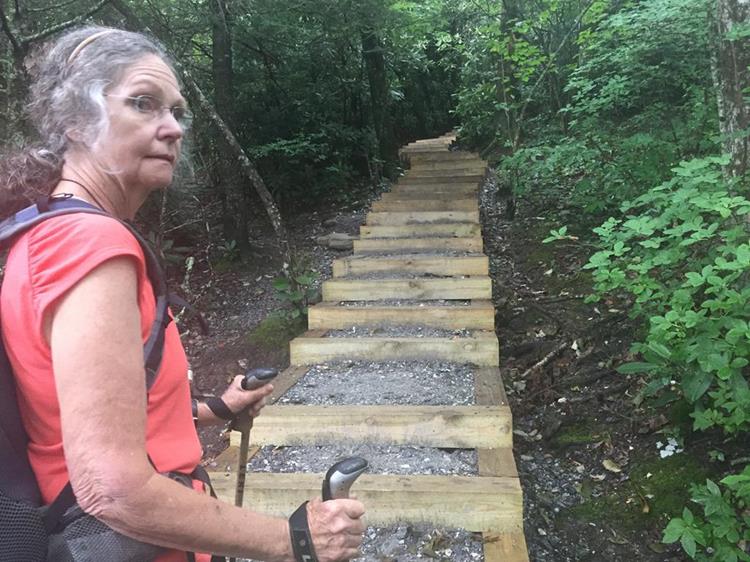 The new improved steps at the start of the trail.