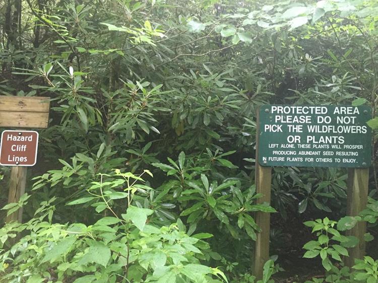 Sign near the start of the trail.