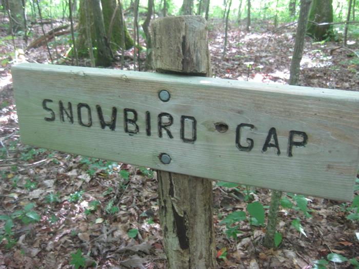 This is the gap just below Siler Bald.