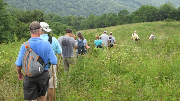 Starting the climb up the grassy slope to the summit of Siler Bald .