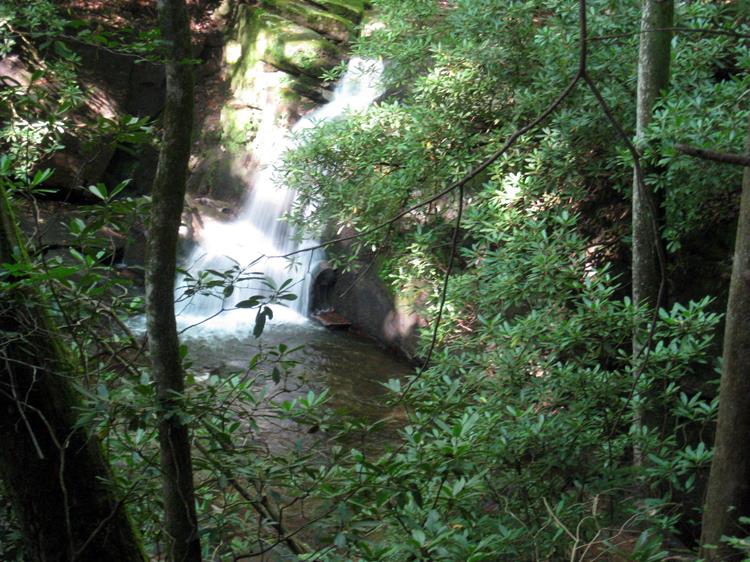 There are several small waterfalls all along Dodd Creek!