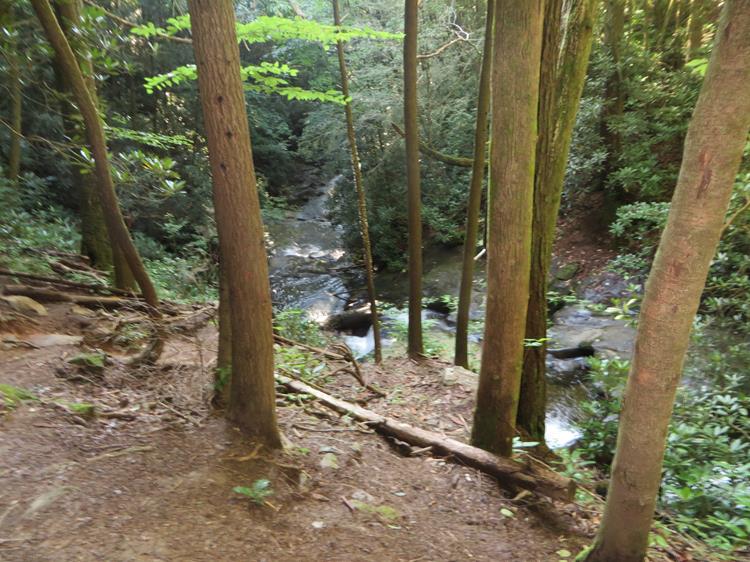 Beautiful Dodd Creek!