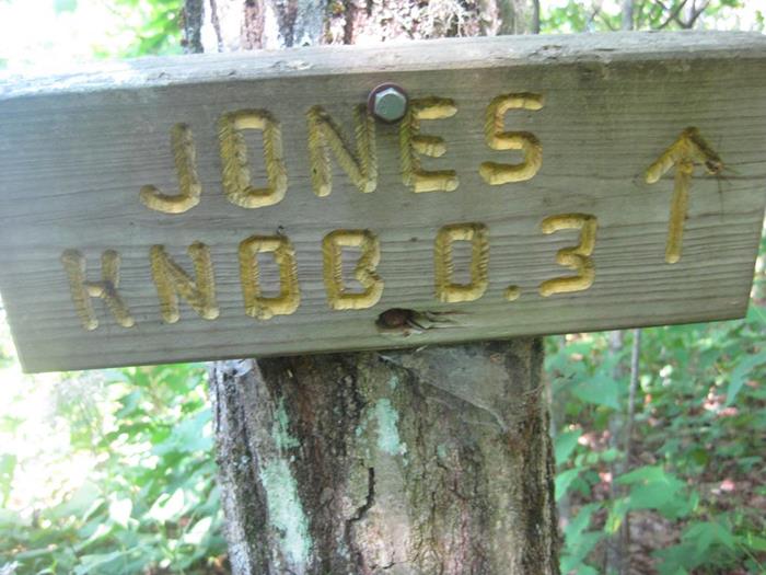 About a quarter of a mile into the hike, we take the side trail up to beautiful Jones Knob.