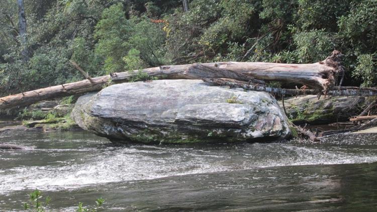 You can see the effects of high water with this tree atop the boulder!