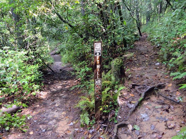 On the return trip, we take the right fork onto the Foothills Trail.
