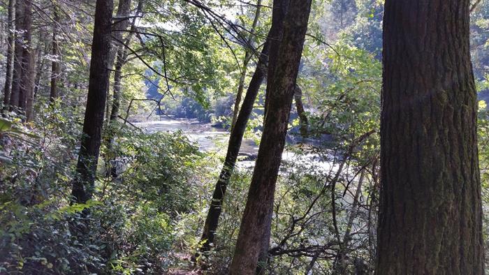 After a couple of miles, the trail comes alongside the Chattooga River .