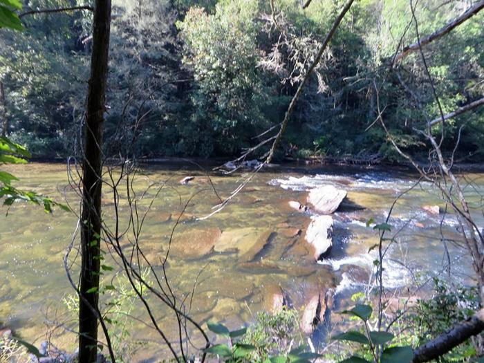 The Federally designated "Wild and Scenic" Chattooga River.