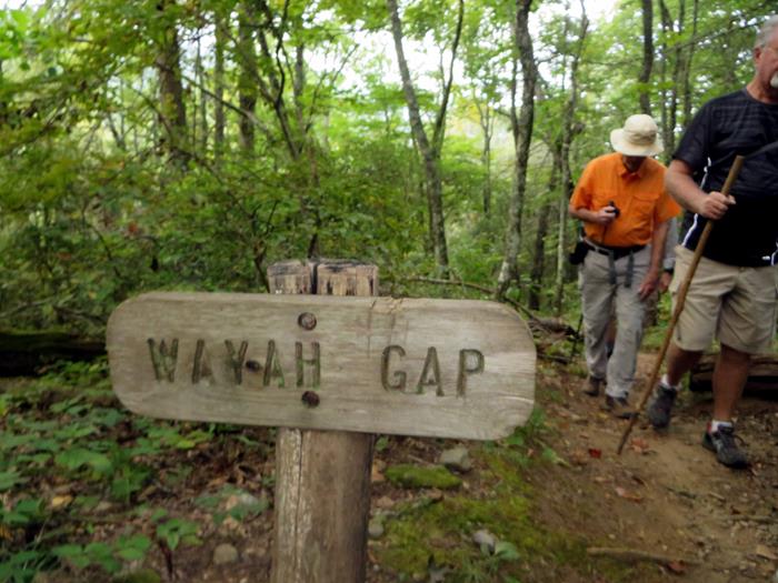Shortly into the hike, we pass the Wayah Gap sign.