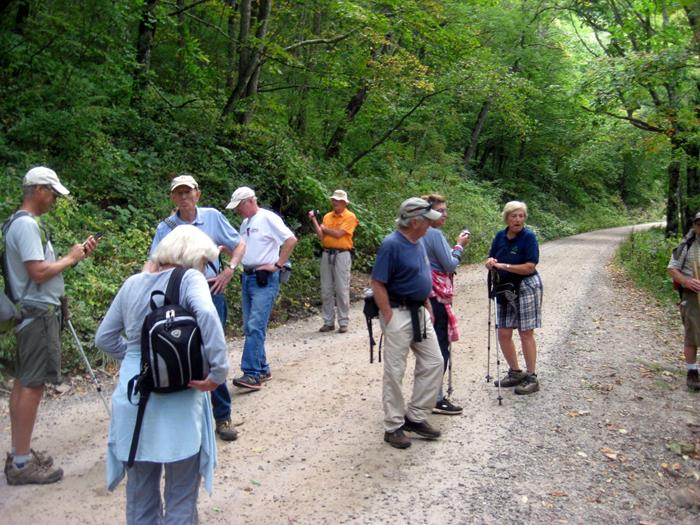 Here, the trail crosses the forest service road that leads up to Wayah Bald.