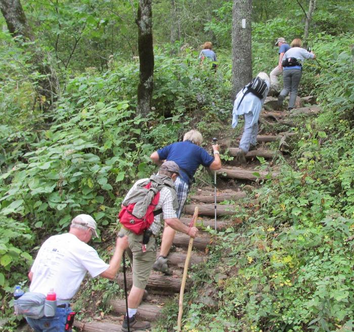 Climbing up the steps from the road.