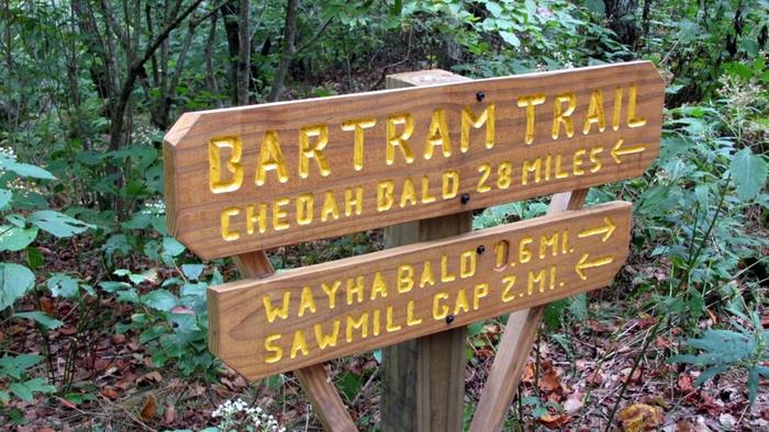 Here, the A.T. intersects the Bartram Trail and the two share the path to Wayah Bald.