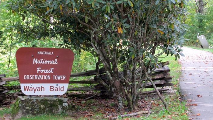About a quarter mile from the Bald, the trail becomes asphalt.