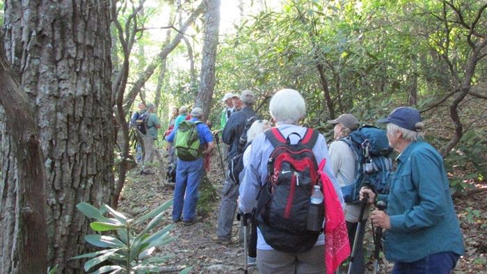 17 Hikers today
