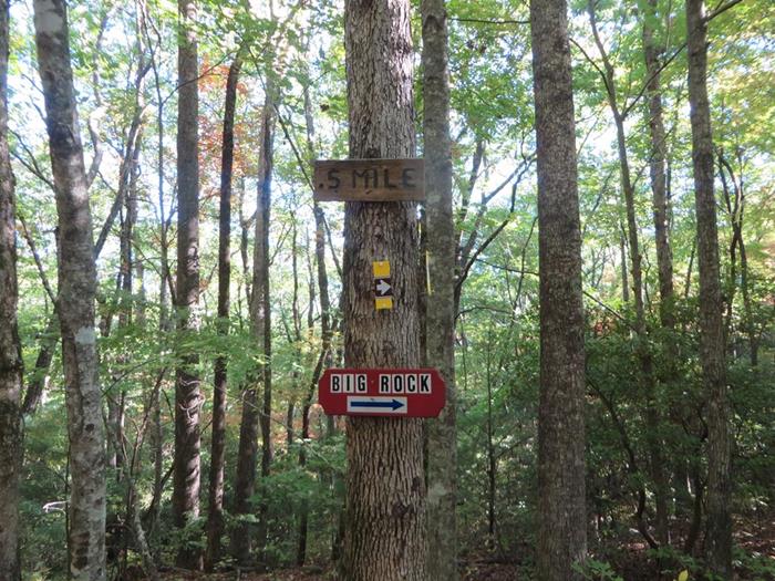 Trail markers at Green Gap.
