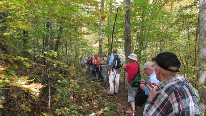 Our nice group of 15 hikers today!
