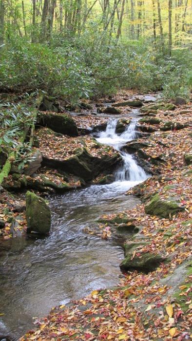 Beautiful Kimsey Creek!