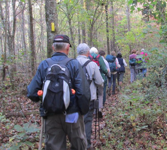 A nice group of 16 hikers today!