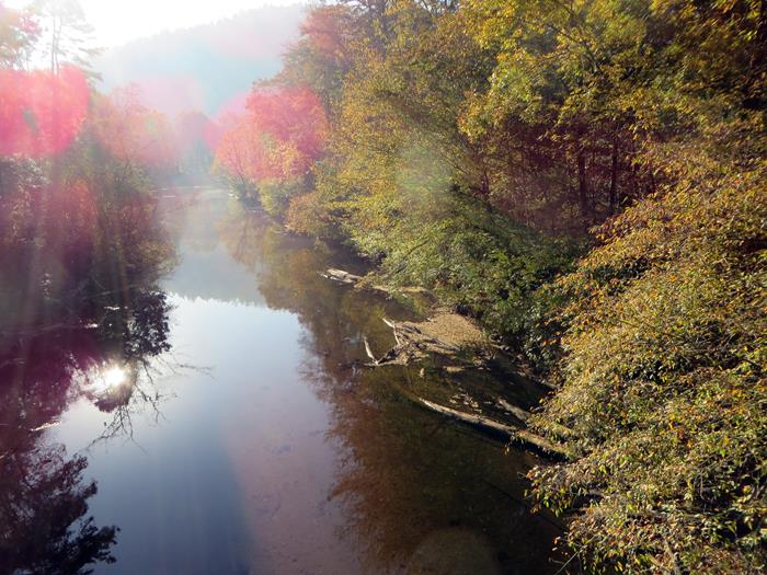 Early morning view from the bridge.