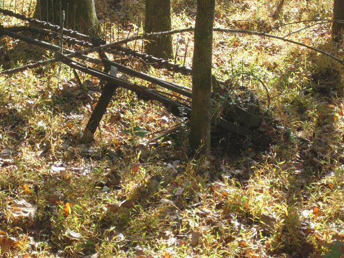This section of the trail passes through old farm country - an old hay rake.