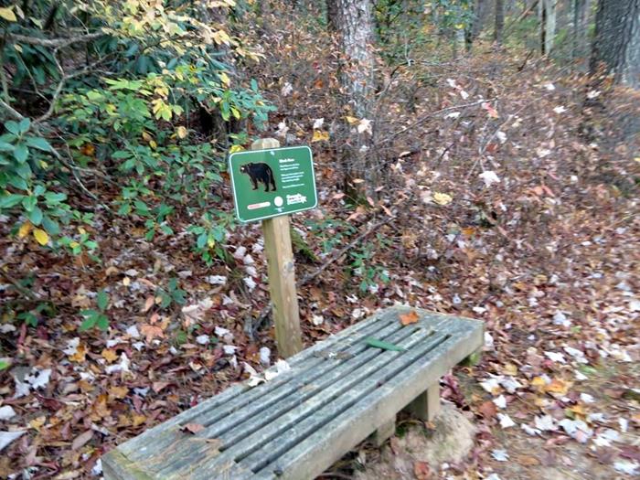 This Lake Loop trail is a nature trail with educational signs and benches.