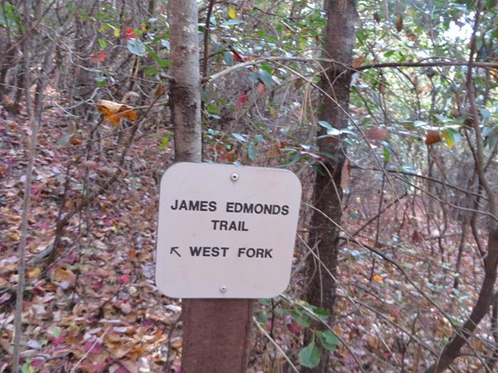 After the Lake Loop, we headed up the James Edmonds Trail to Lookoff Mt. Overlook.