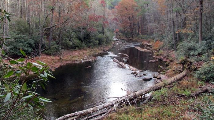 The trail follows the Chattooga River - beautiful even with low water level.