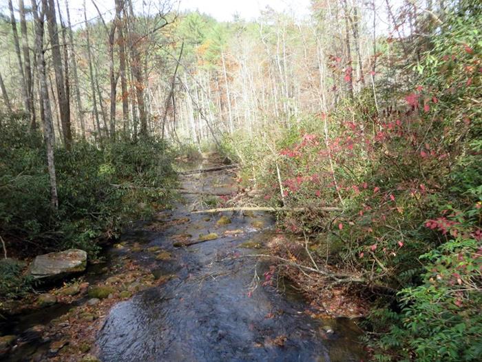 Looking down the East Fork to the merge with the Chattooga.