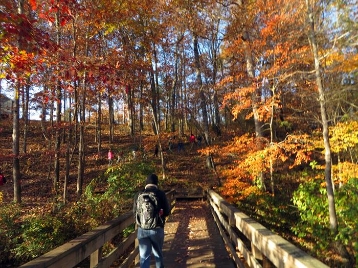There is still some nice color along the trail!