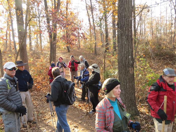 We had a nice group of 15 hikers today.