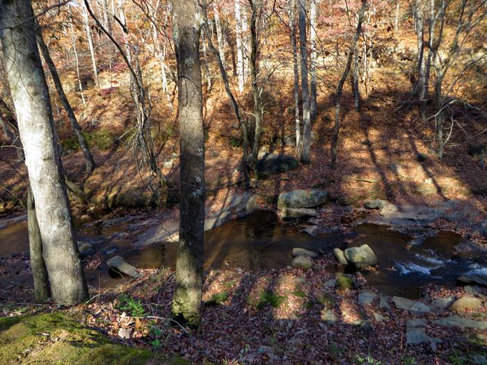 This portion of trail has lots of creek views.