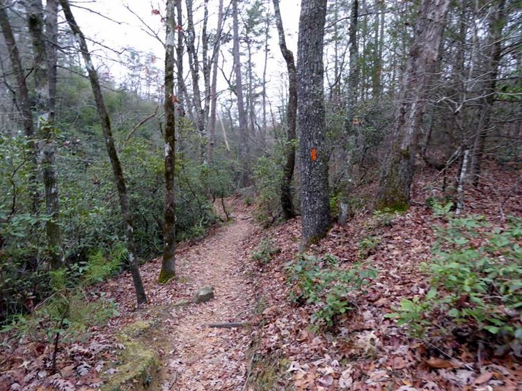 The trail to the falls is a beautiful woodland trail with orange trail blazes.