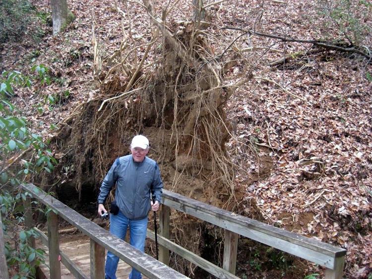 This bridge was almost a victim of a large tree fall.