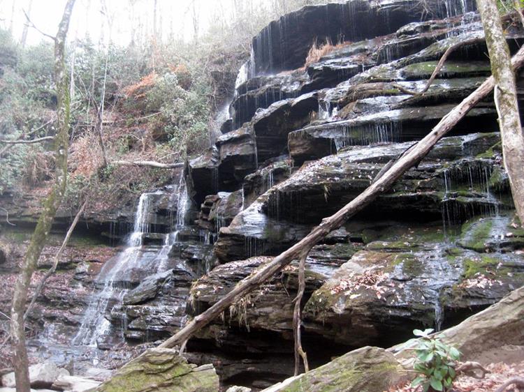 Yellow Branch Falls