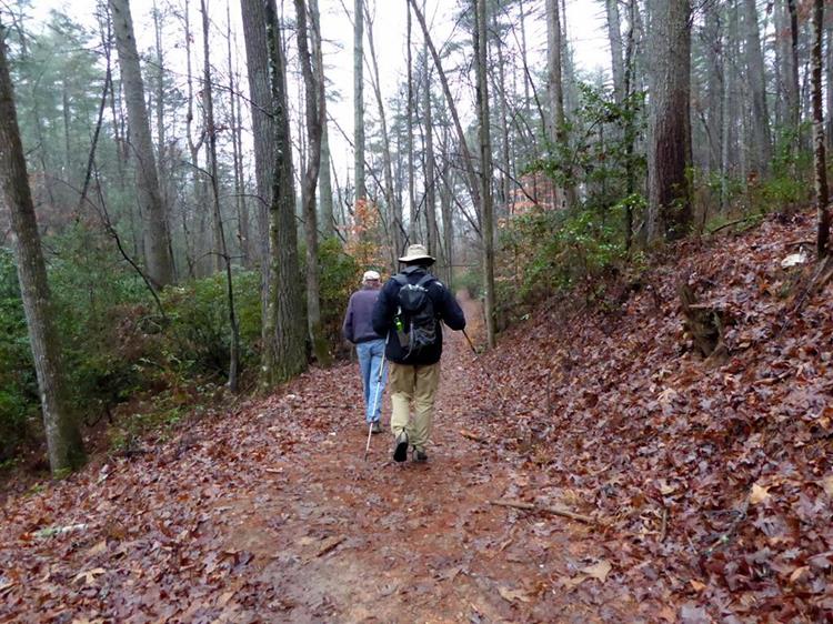 Another great day for a hike on a beautiful North Georgia Trail.