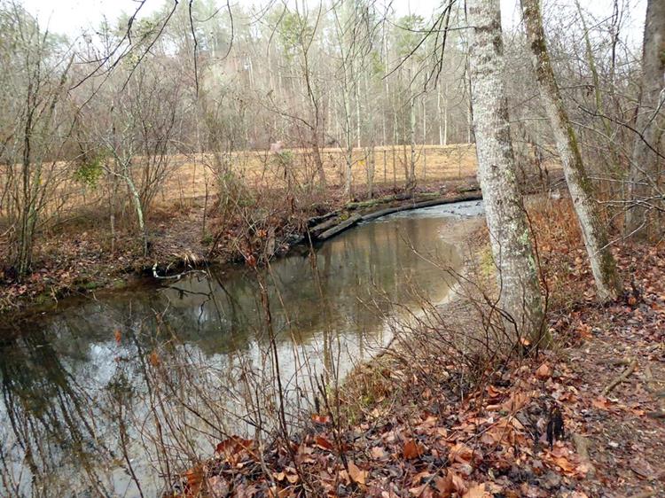Lots of nice views of Lower Smith Creek.