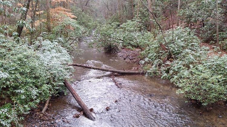 Another view of Smith Creek.