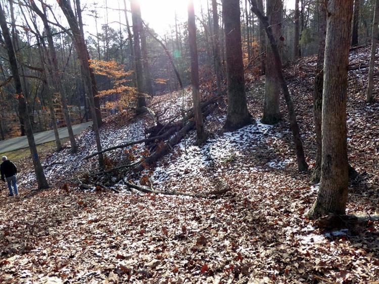 Still a little snow left over from the weekend storm.