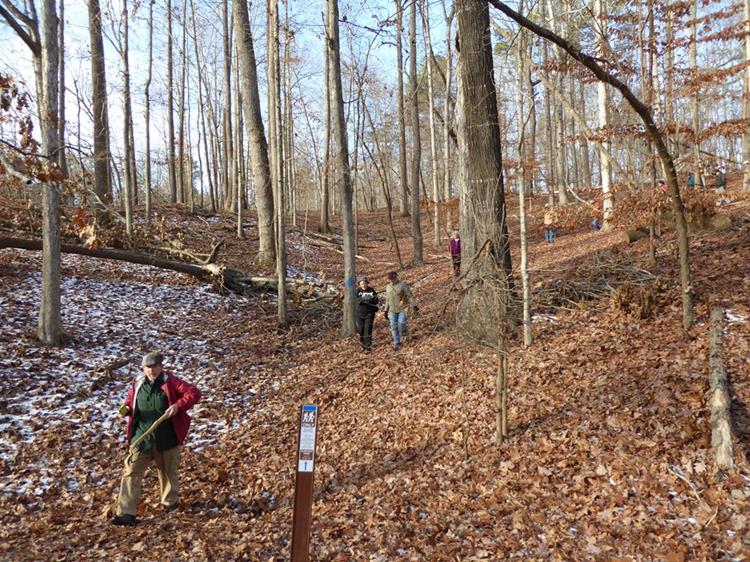 A nice woodland hike through tall hardwoods.