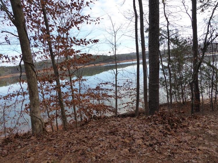 Lots of nice lake views all along the trails.