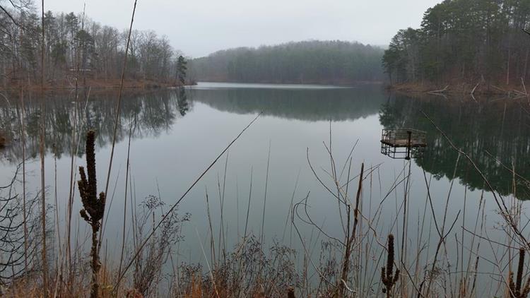 Nice view of Lake Russell from the earthen portion of the dam.