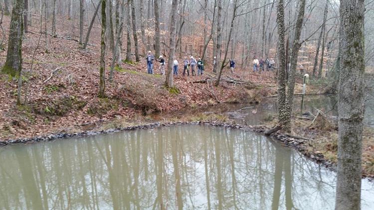 We pass by this well-constructed beaver dam.