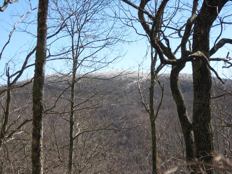 Looking up to Wine Spring Bald, we see that the trees are covered in ice!