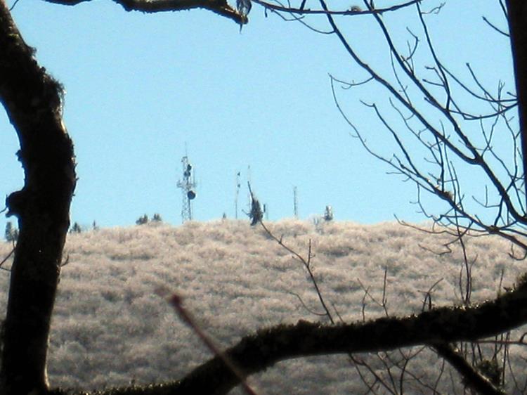 Zoomed view of icy Wine Spring Bald.