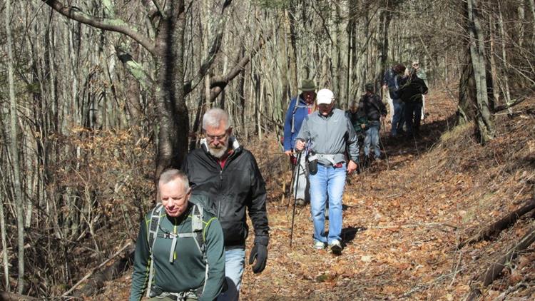 A nice group of 17 hikers today.