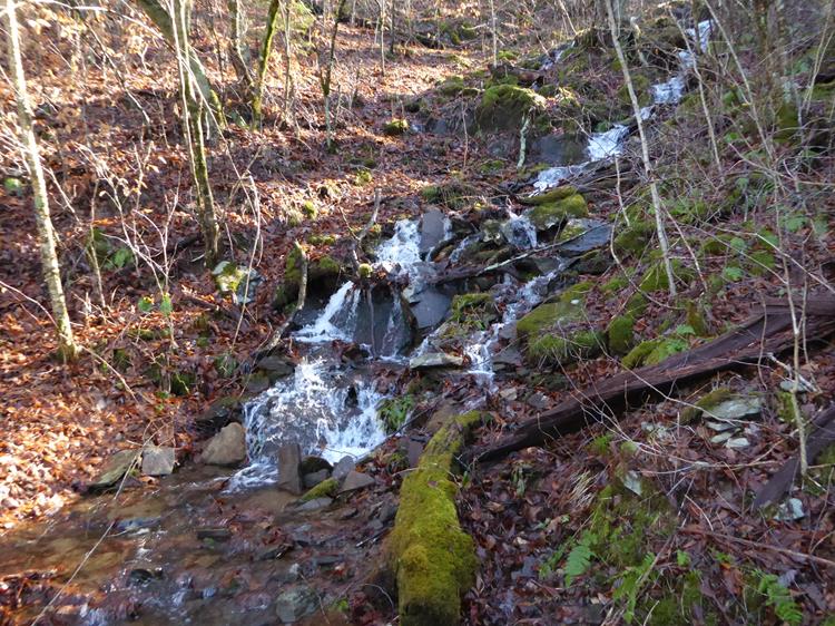 A beautiful cascading creek!