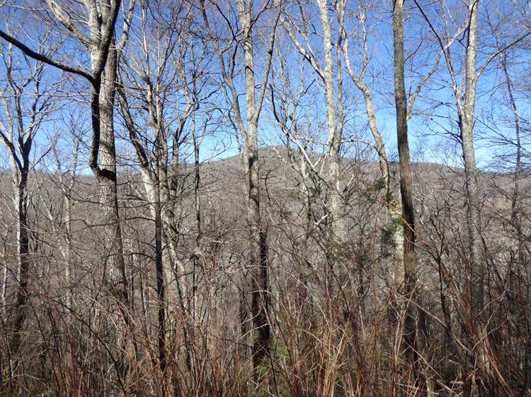 Constant mountain views all along the trail.